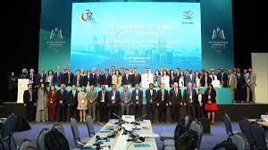 Over 120 WTO members agree to boost investment in developing countries