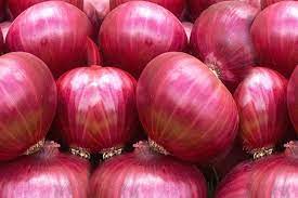 India to export 1,650 tonnes of onions to Bangladesh