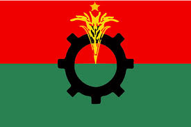 BNP expelled 73 people for being candidates in upazila elections