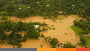 Flood death toll in Sherpur rises to 7