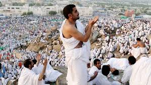 Muslim pilgrims pray at Mount Arafat in Hajj apex